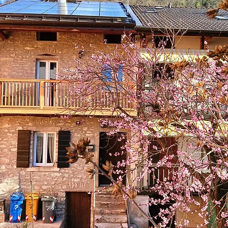 בית הארחה Casa Natalina *